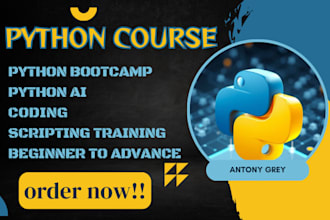 create python bootcamp, ai, coding and scripting training, beginner to advance