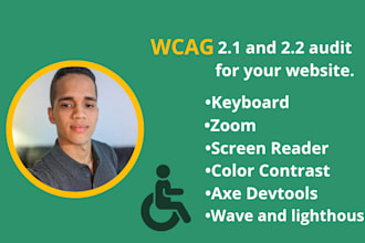 perform a web accessibility audit and wcag compliance