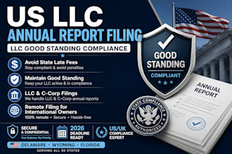 file your llc annual report and maintain state good standing compliance