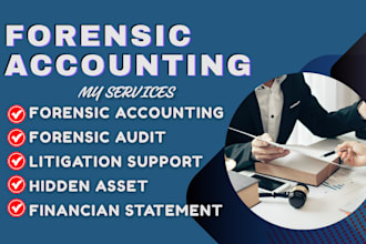 do forensic accounting, audit financial statements, uncover hidden assets