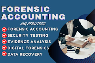 do digital forensics, forensic accounting, and uncover hidden data, assets