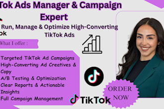 do and run tiktok ads, be your tiktok ads manager, do tiktok ads campaign