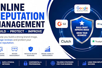 provide expert online reputation management services