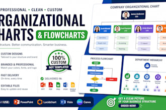 design a professional organizational chart or company flowchart