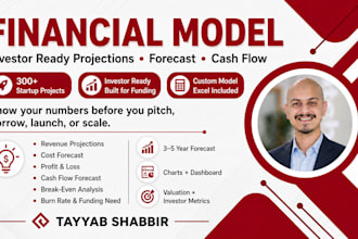 create investor ready financial projections and financial model