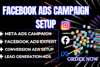 do meta facebook ads campaign setup