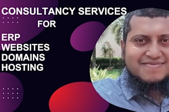 provide consultancy services for erp, websites, domains and hosting