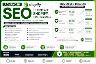 do advanced shopify SEO to increase shopify traffic and sales