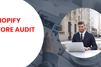 do shopify audit for you