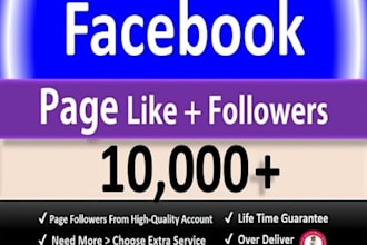get 1000 facebook page followers and like