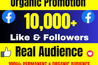 get 1000 facebook page followers and like