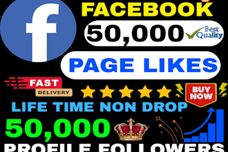 get 1000 facebook page followers and like