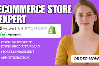 design redesign setup ecwid dropshipping store website seo shift4shop 3dcart
