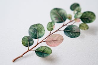 draw realistic botanical watercolor illustration