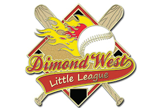 design high quality baseball mascot logo with unlimited revision