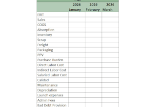 prepare financial pl analysis and forecast