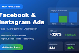setup and manage meta ads for ecommerce and local business