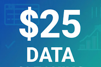 do ai powered data cleaning and excel data entry with claude in 24 hours
