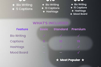 do bio caption and brand content for instagram