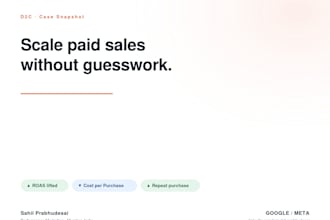run high roas google ads, meta ads and lead generation campaigns