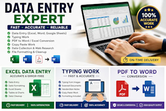 do accurate data entry, excel, word typing and PDF to word