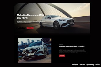 update website content, text, images and cta professionally