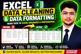 do excel data cleaning formatting and data cleanup