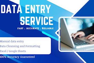 provide accurate data entry and excel services