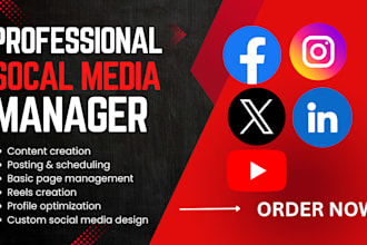 design a professional business flyer, event poster,, social media or brochure