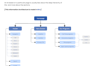 do professional UX audit