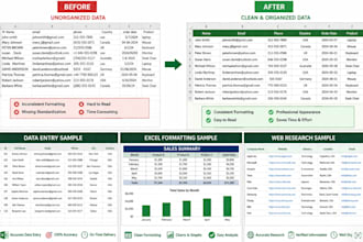 do data entry, web research and excel data entry