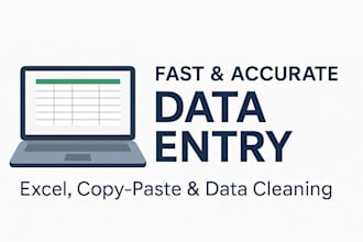 fast and accurate data entry work