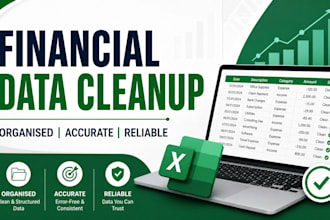 clean and organize your financial data professionally