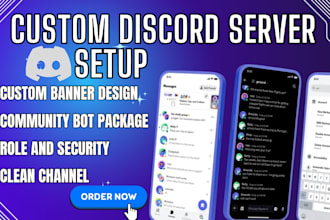 setup custom discord server for community, gaming or business professionally