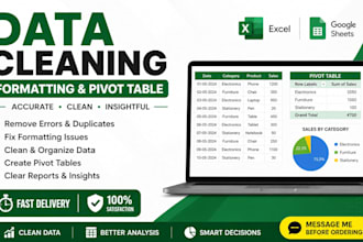 data cleaning, formatting and pivot tables
