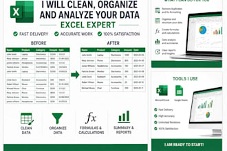 excel data cleaning, organizing and analysis