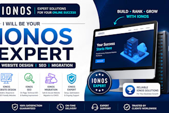 ionos website design redesign seo migration expert website developer