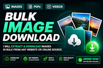 download bulk images from websites fast and accurately