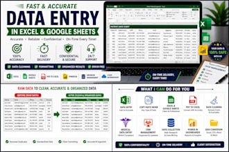 do fast and accurate data entry in excel or google sheets