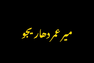 do professional arabic urdu english calligraphy logo design