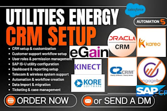 setup salesforce oracle optix c2crm egain kore wireless engage kinect sap isu
