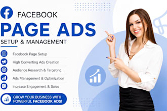 setup and manage facebook ads campaign and meta ads manager