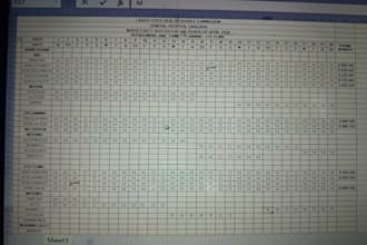 do accurate data entry and excel spreadsheet work