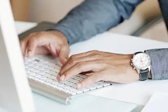 provide monthly wordpress maintenance, updates and support