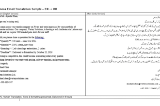 translate business emails and documents urdu to english and english to urdu