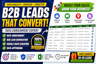 do data enrichment  lead enrichment maps scraper  b2b data  data appending