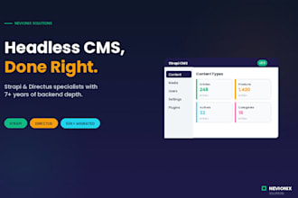 build or customize your strapi or directus headless cms