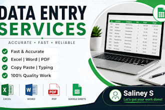 do accurate data entry, typing, copy paste and excel work