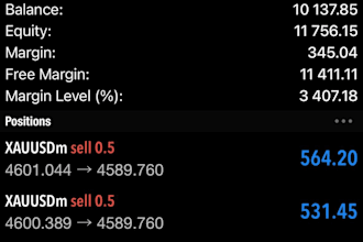 create mt4, mt5 expert advisor or custom indicator