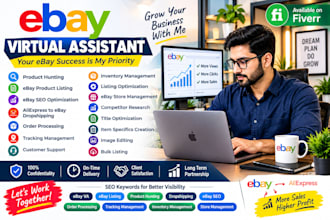 manage ebay account, store management and SEO